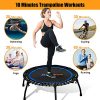 Raybee Mini Trampoline for Adults 40" Folding Leg Fitness