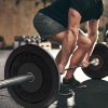 PINROYAL Bumper Plate 15LB, Olympic Weight Plate
