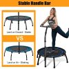 Raybee Mini Trampoline for Adults 40" Folding Leg Fitness