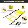12 Rung Agility Training Ladder Kit – with A Carry Bag