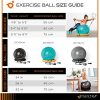 Exercise Ball Chair - 55cm / 65cm / 75cm Yoga Fitness Pilates Ball