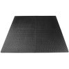 Exercise Mat EVA Foam Interlocking Tiles