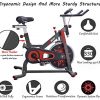 VIGBODY Exercise Bike Indoor Cycling Bicycle Stationary