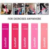 Resistance Loop Exercise Bands Carry Bag