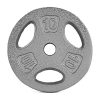 CAP Barbell Standard 1-Inch Grip Weight Plates, Single
