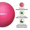 URBNFit Mini Excersice Pilates and Yoga Ball Pink