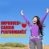 Best Premium Waist Trainer, Trimmer Ab Sweat Belt