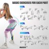 Elevate Your Workouts with Whatafit Mini Resistance Loop Bands - A Bundle of 5 for Ultimate Fitness