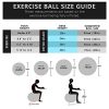 Inpany Exercise Ball - Extra Thick Yoga Ball Chair