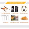 Speed Training Set - Agility Ladder, Jump Rope