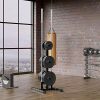 YAHEETECH 2in Weight Plate Rack Tree, 2 Barbell Bar Holders