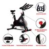 Sunny Health & Fitness Magnetic Belt Drive Indoor Cycling Bike