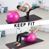 CAMEL CROWN Exercise Ball (Multiple Sizes) Anti-Burst and Slip