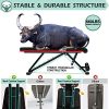 Workout Bench for Home Gym Adjustable Strength Training