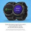 Garmin fenix 6 Sapphire, Premium Multisport GPS Watch