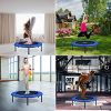 SKL Foldable Fitness Trampoline 40 Inch, Mini Trampoline