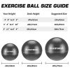 EveryMile Exercise Ball (55-75cm), Thick & Anti Burst Yoga Ball Chair