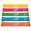 Fit Simplify Resistance Loop Exercise Bands for Home Fitness