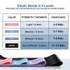 Resistance Loop Exercise Bands with Instruction Guide and Carry Bag