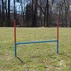 Lord Anson Dog Agility Set - Dog Agility Equipment