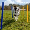 CHEERING PET Dog Agility Equipment, 28 Piece Dog Obstacle