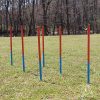 Lord Anson Dog Agility Set - Dog Agility Equipment