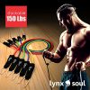 16 PCS Premium Quality - Pro Resistance Rubber Band Set by LYNXSOUL