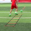 Vivitory Speed Agility Training Set - Adjustable Rung Speed Ladder