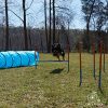 Lord Anson Dog Agility Set - Dog Agility Equipment