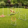 Training Set Dog Obstacle Exercise Adjustable Jump Ring