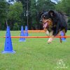 Lord Anson Dog Agility Hurdle Cone Set