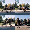 Wooden Push Up Bars with Ergonomical Handle and Heavy-Duty Steel