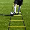 Agility Ladder with Carrying Bag Pro Speed Agility Training Kit