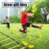 Upper Midland Products Agility Hurdles Ladder Set