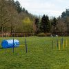 CHEERING PET Dog Agility Equipment, 28 Piece Dog Obstacle