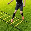 Complete Agility Training Set with 12 Rung 20Ft Agility Ladder, 12 Field Cones, 4 Steel Stakes, and Carrying Bag - Ideal Footwork Equipment for Soccer, Football, Boxing, and More