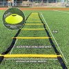 OD&DO Agility Training Set - Only Ladder Speed Equipment