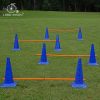 Lord Anson Dog Agility Hurdle Cone Set