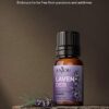 Anjou Essential Oils Set 6-Pack Gift Set Therapeutic Grade 10ml