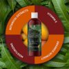 Natural Massage Oil for Massage Therapy - Sensual Massage Oil for Couples