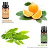 Lagunamoon Essential Oils Top 6 Gift Set Pure Essential Oils for Diffuser