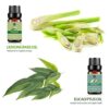Lagunamoon Essential Oils Top 6 Gift Set Pure Essential Oils for Diffuser