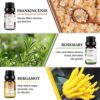 New Model-Essential oils by Engive Top12x5ml 100% Pure