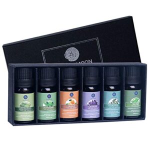 Lagunamoon Essential Oils Top 6 Gift Set Pure Essential Oils for Diffuser