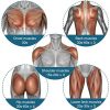 Massage Gun Deep Tissue Percussion Electric Muscle Massager