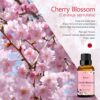 Cherry Blossom Essential Oil, Esslux Aromatherapy Oils for Diffuser