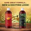 Natural Massage Oil for Massage Therapy - Sensual Massage Oil for Couples