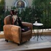Massage Chair Cushion with 20 Nodes for Men and Women