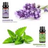 Lagunamoon Essential Oils Top 6 Gift Set Pure Essential Oils for Diffuser