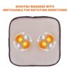 Snailax 2-in-1 Shiatsu Foot Massager Warmer